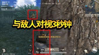 欧美视频3s,瞬间捕捉全球热点瞬间