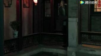 欧美视频怡红院视频在线,一场跨越时空的视觉之旅